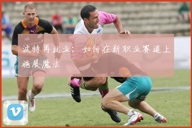波特再就业：如何在新职业赛道上施展魔法