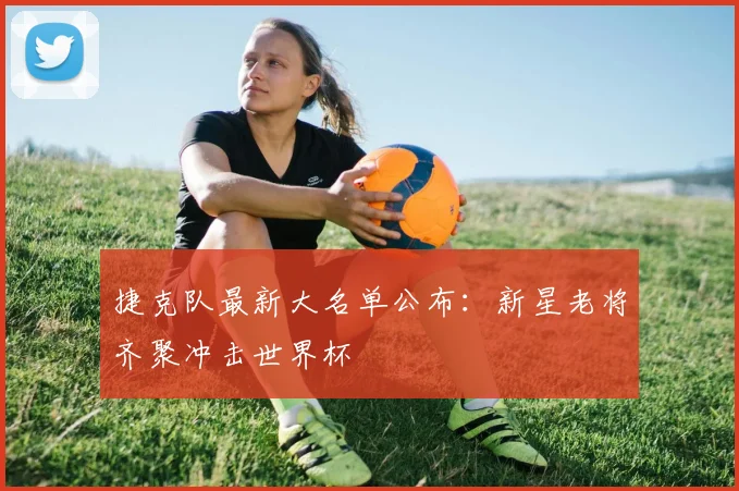 捷克队最新大名单公布：新星老将齐聚冲击世界杯