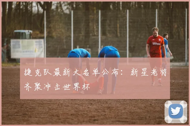 捷克队最新大名单公布：新星老将齐聚冲击世界杯